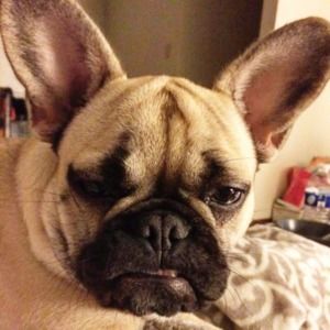 Meet your Posher, Scarly